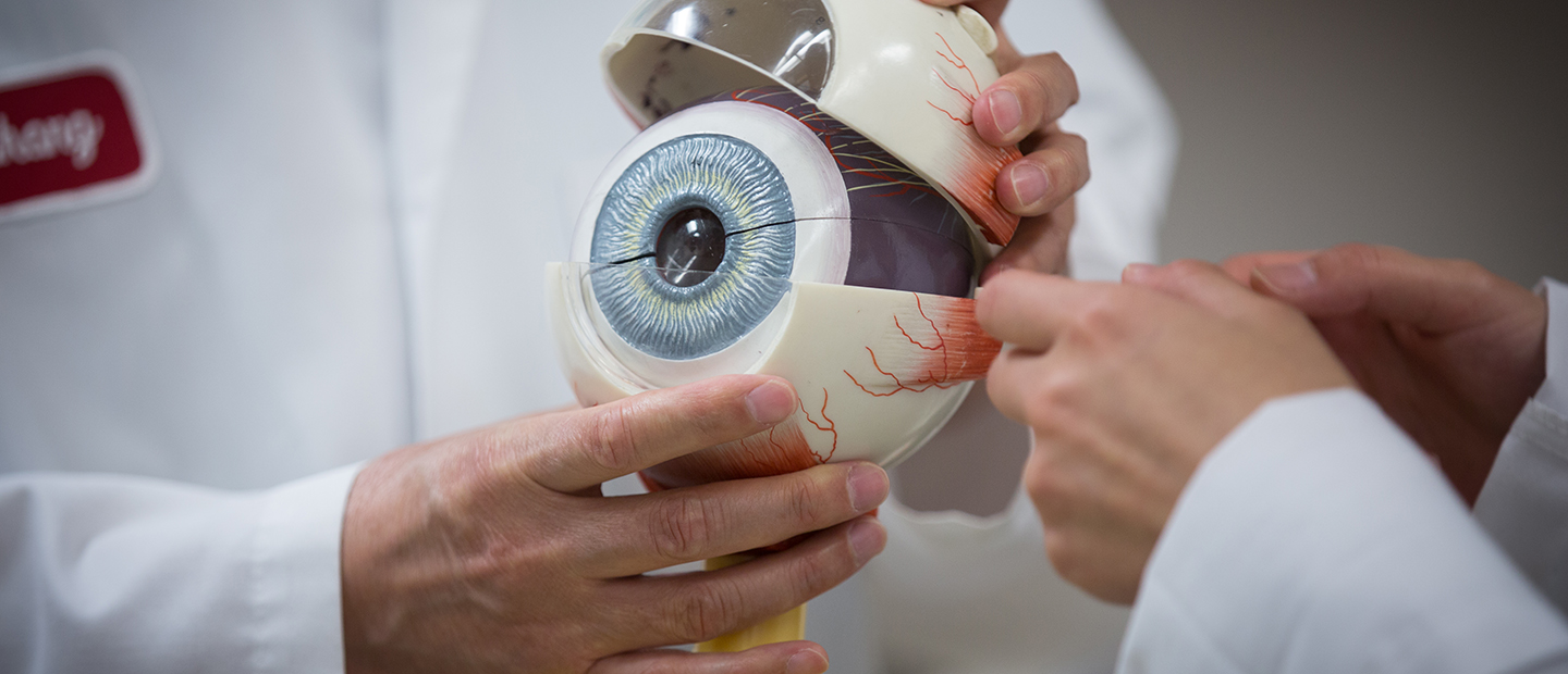 person holding a large model of an eye