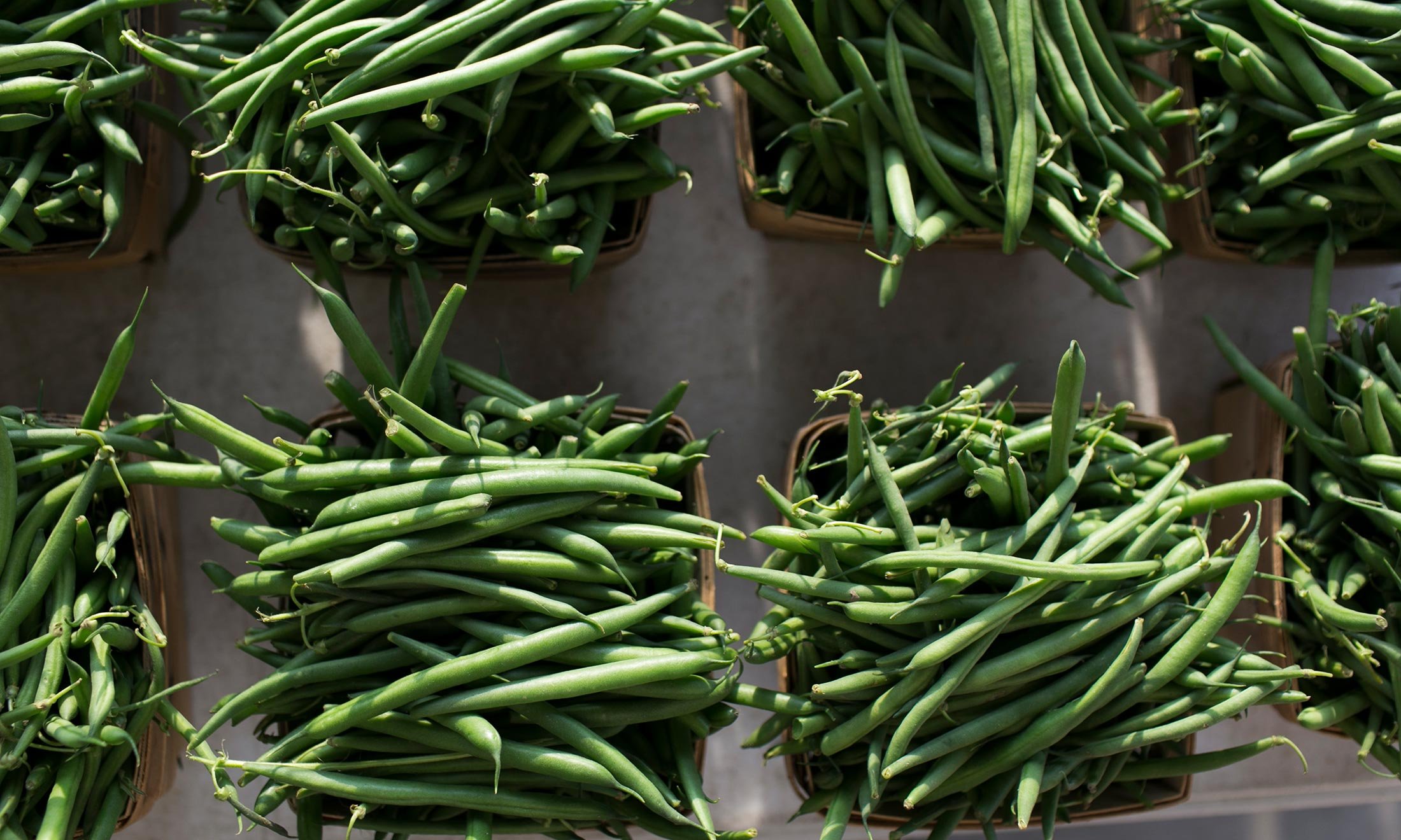 Freshly picked string beans at the Royal Oak Farmers Market