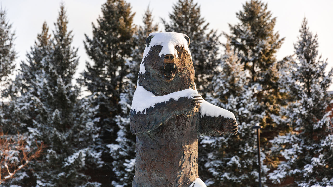 Grizzly statue in winter