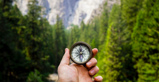 Person holding a compass in front of a forest