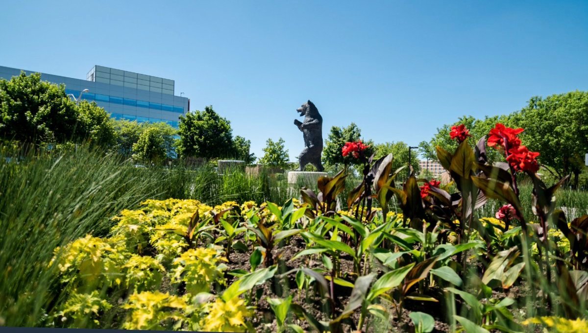 A view of gardens and flowers with the Grizz statue in the background.