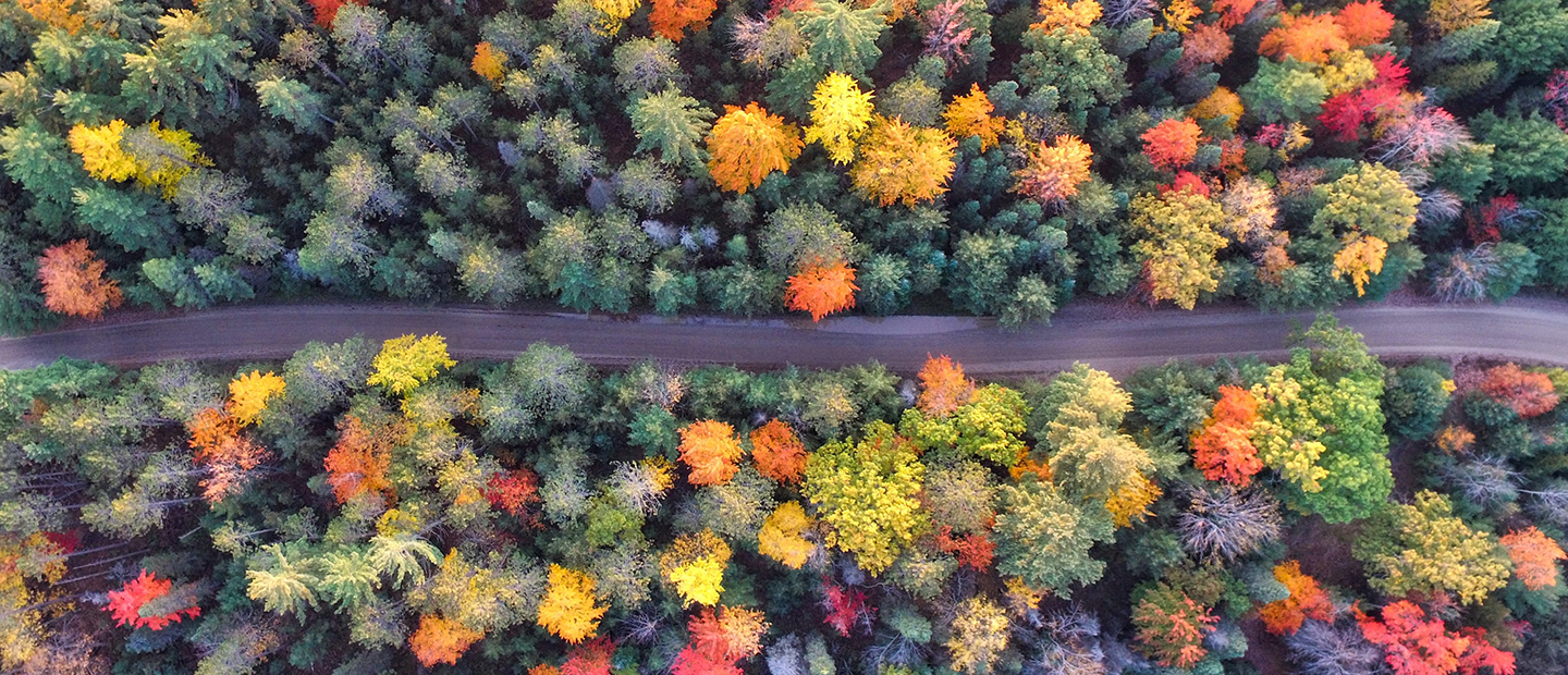 An aerial view of a dirt road surrounded by colorful trees
