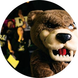 headshot of the Grizz bear mascot with people cheering in the background