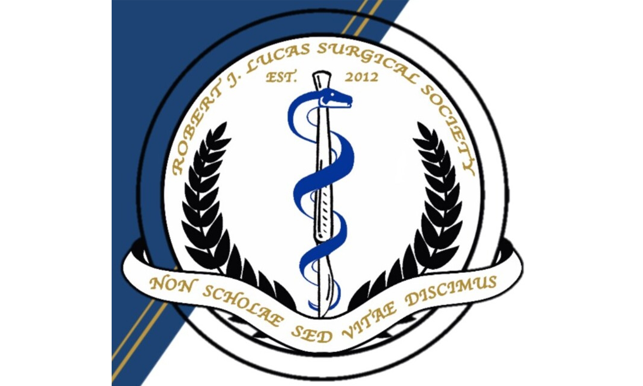 An image of the RJLSS logo