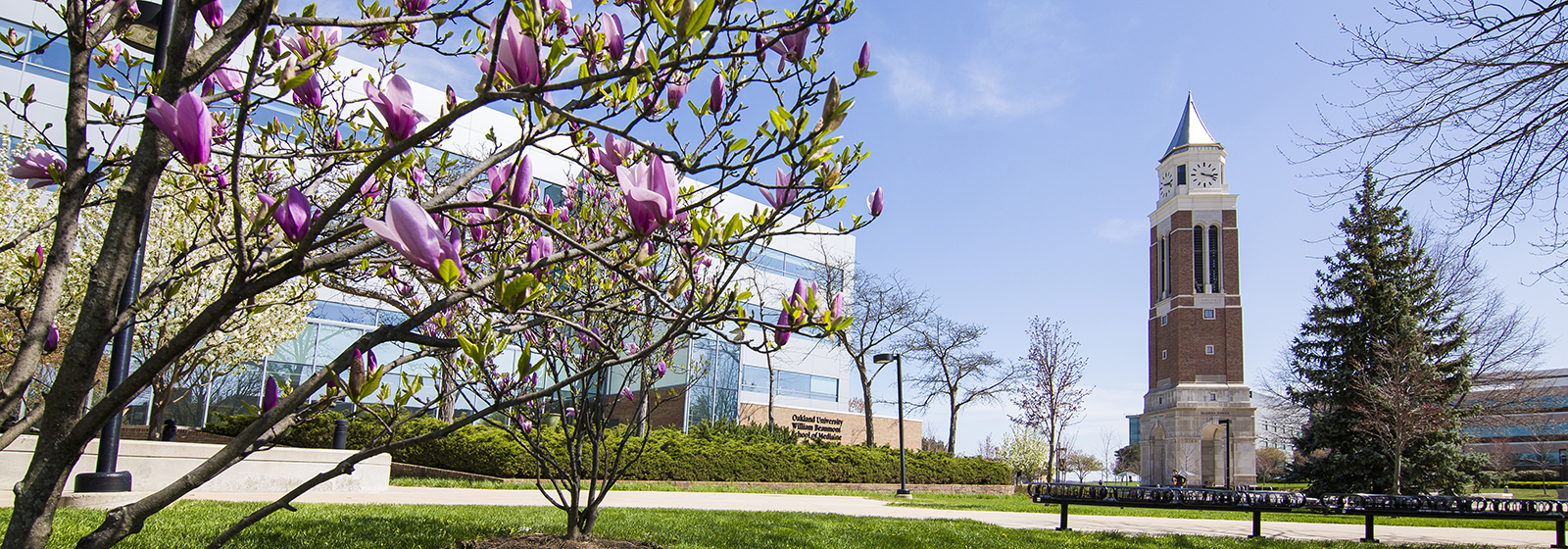 An image of OU's campus in spring