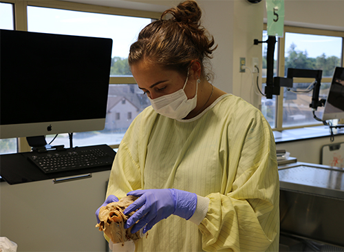 An image of OUWB student Kaliopi Agas in the anatomy lab