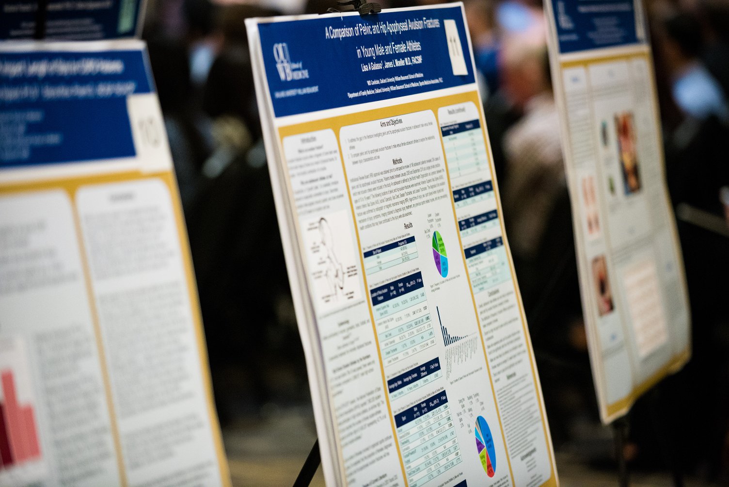An image of posters from a past Embark Capstone Colloquium. 