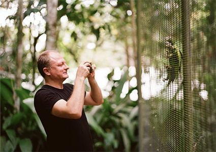 Taras Oleksyk photographs Puerto Rican parrot