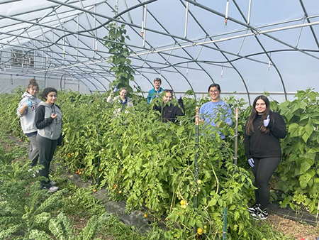 Campus Student Organic Farm