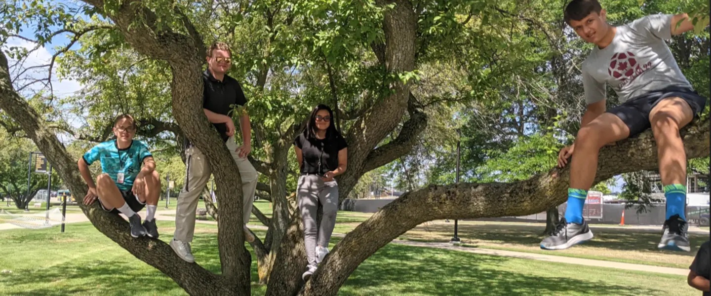 Students in the branches of a large tree.
