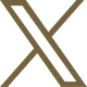 X Logo - Link to X account