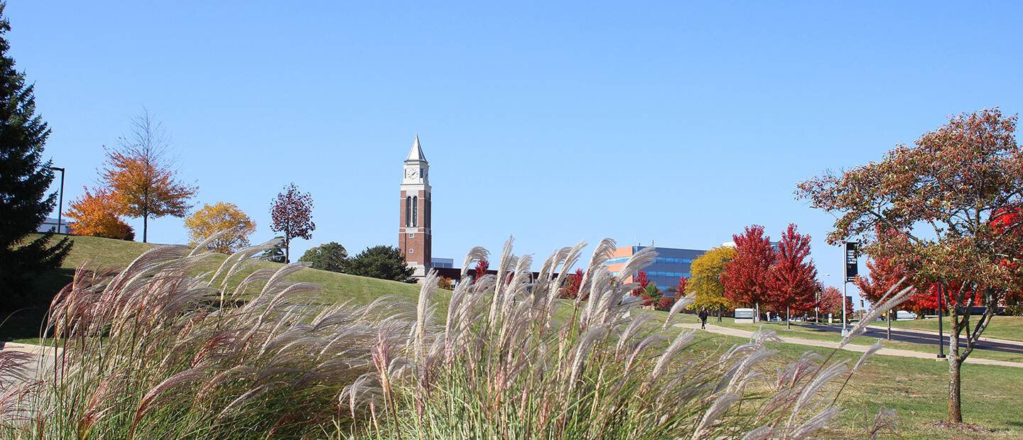 A view of Elliott Tower on Oakland University campus