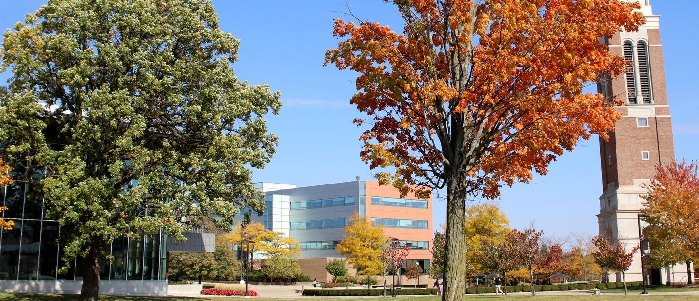 Trees on OUs campus