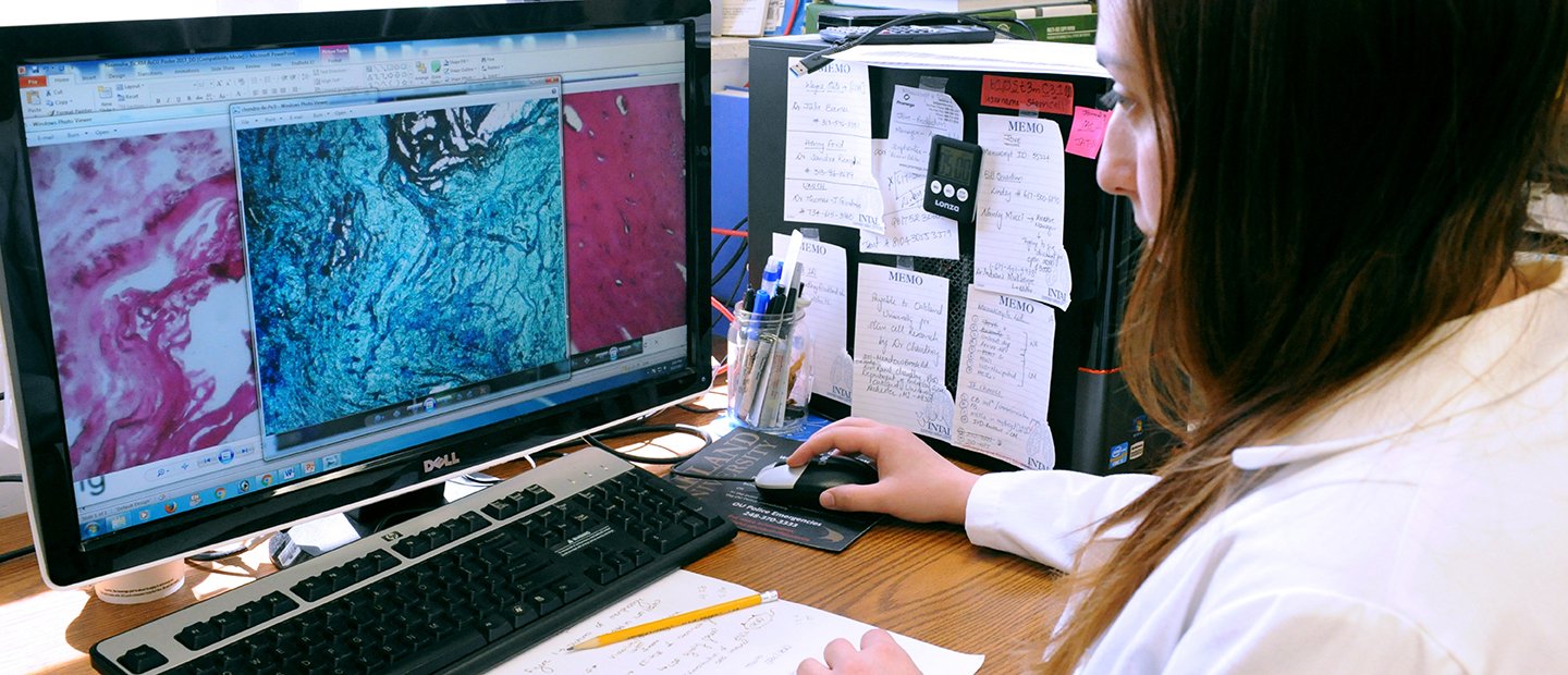 A person looking at cellular data on a computer