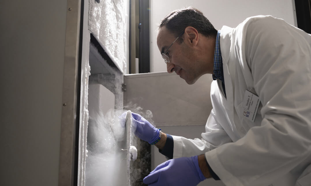 Dr. Karamyan in his lab