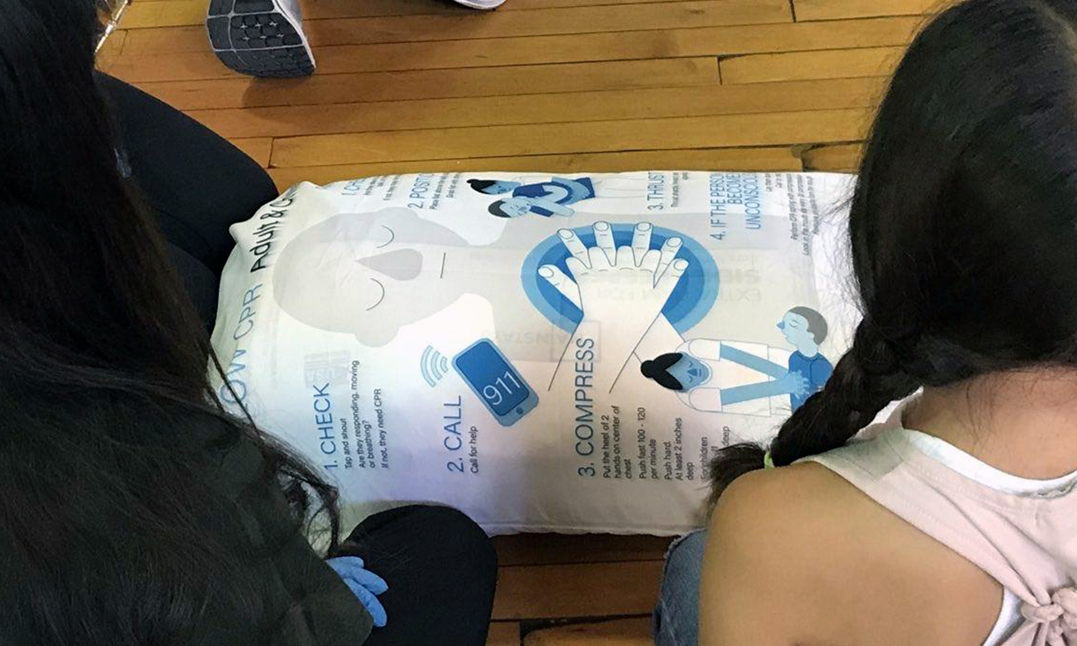 An image of Goldstein's pillow being used in training