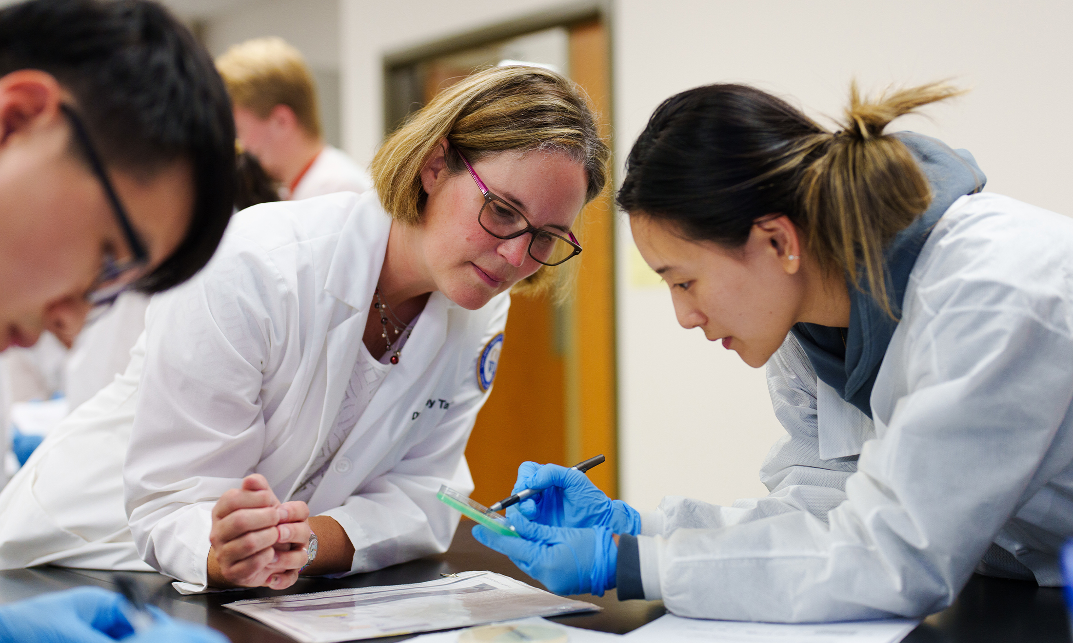 An image from OUWB's microbiology lab