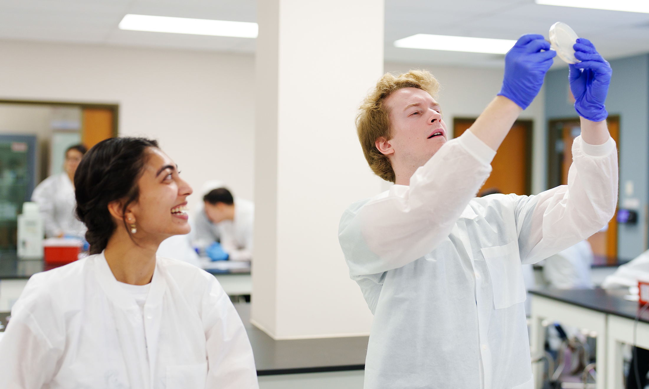 An image from OUWB's microbiology lab