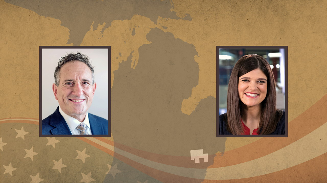 Andy Levin and Haley Stevens