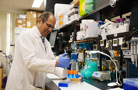 Mohamed Al-Shabrawey