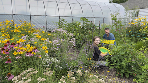 Ecology, Evolution and Environmental Biology