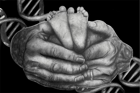 Syeda Hussain's Continuous