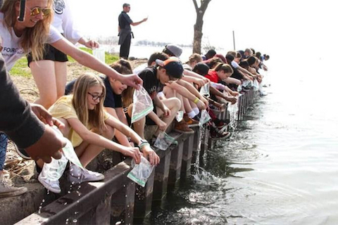 Students from Four Corners Montessori Academy releasing salmon into the wild.