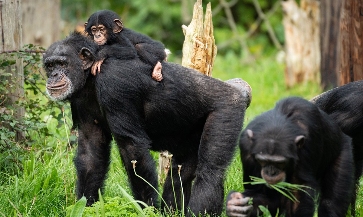 A Heart for Healing Article.