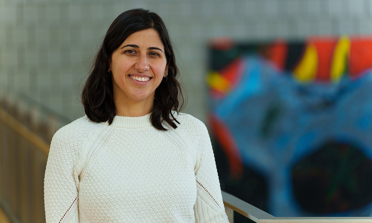 Building a Career Based on the Butterfly Effect