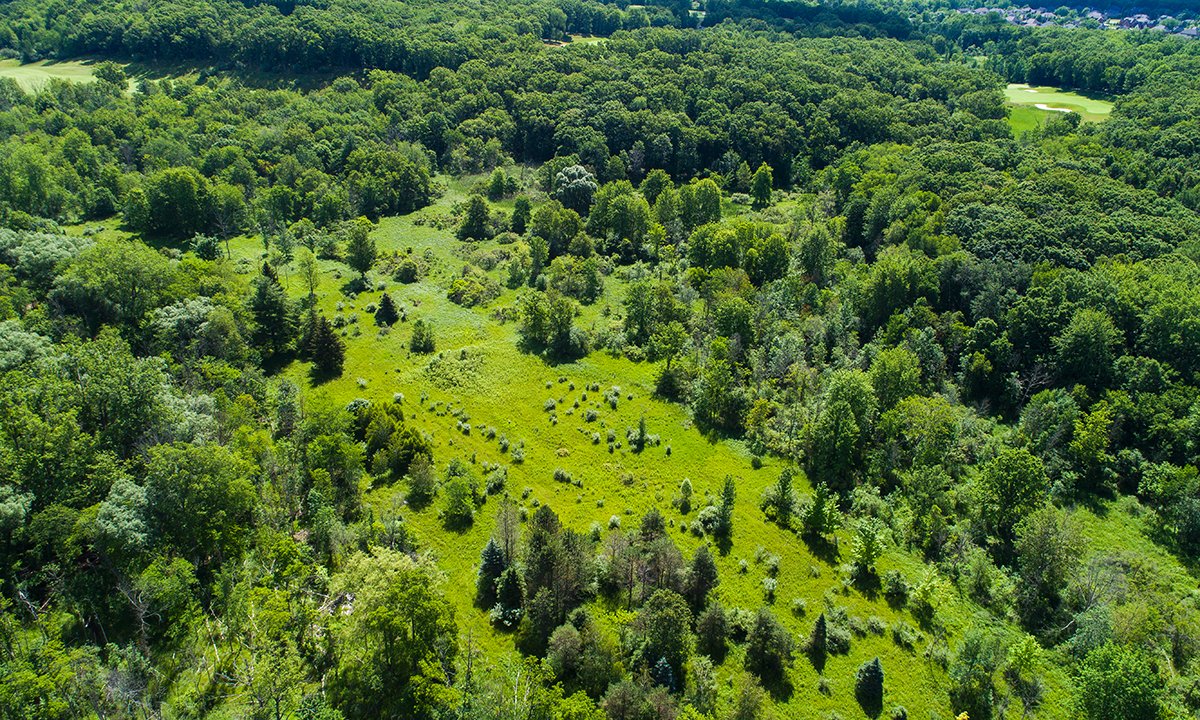 A Gem of Preservation