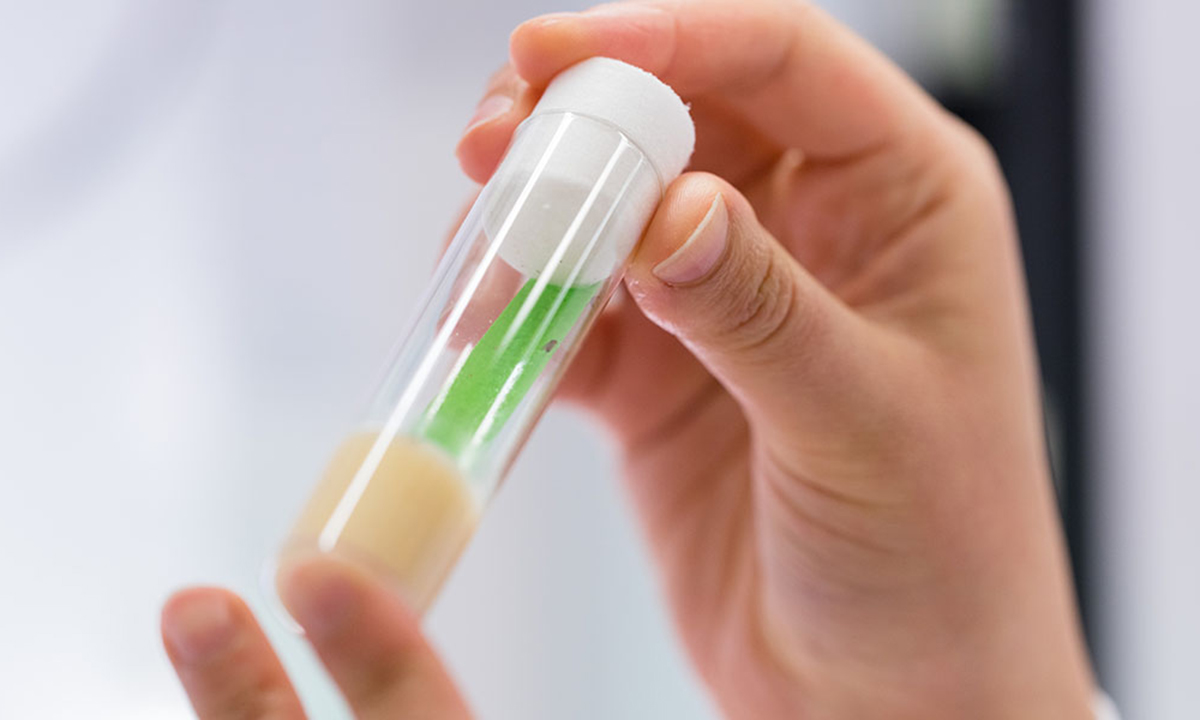 Hand holding a small vile