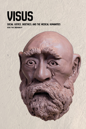 An image of the cover of the second issue of Visus