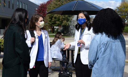 An image of students chatting