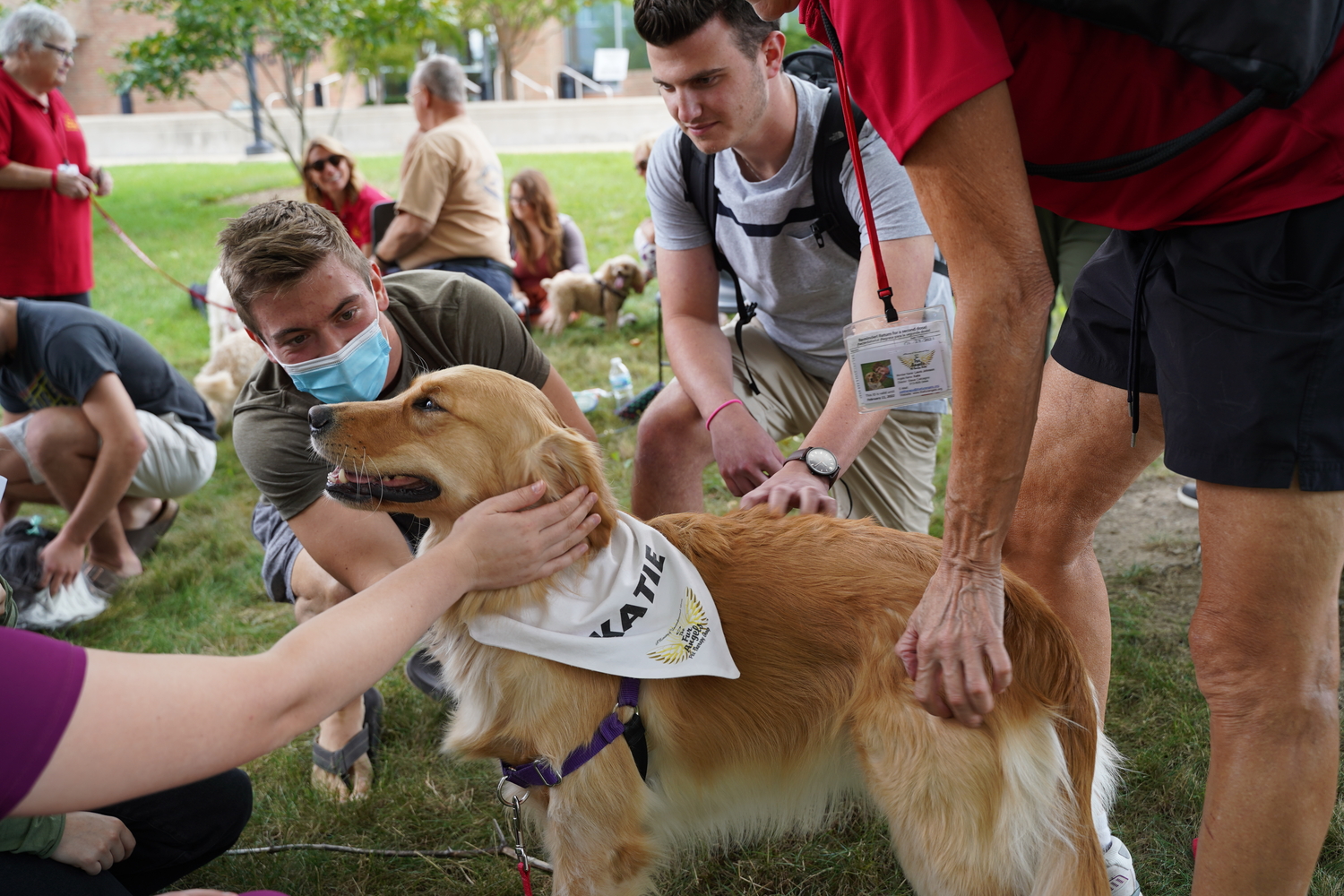 An image of students and dogs