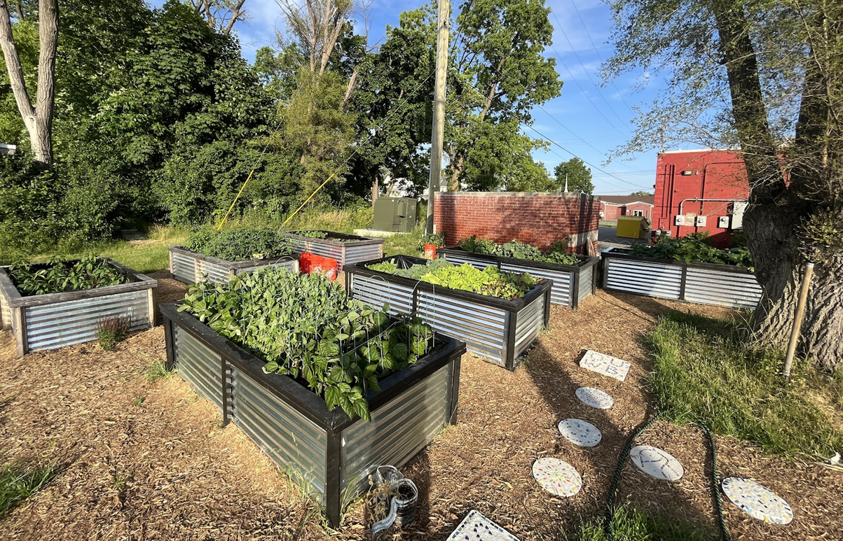 An image of the garden at the Gary Burnstein Community Health Clinic