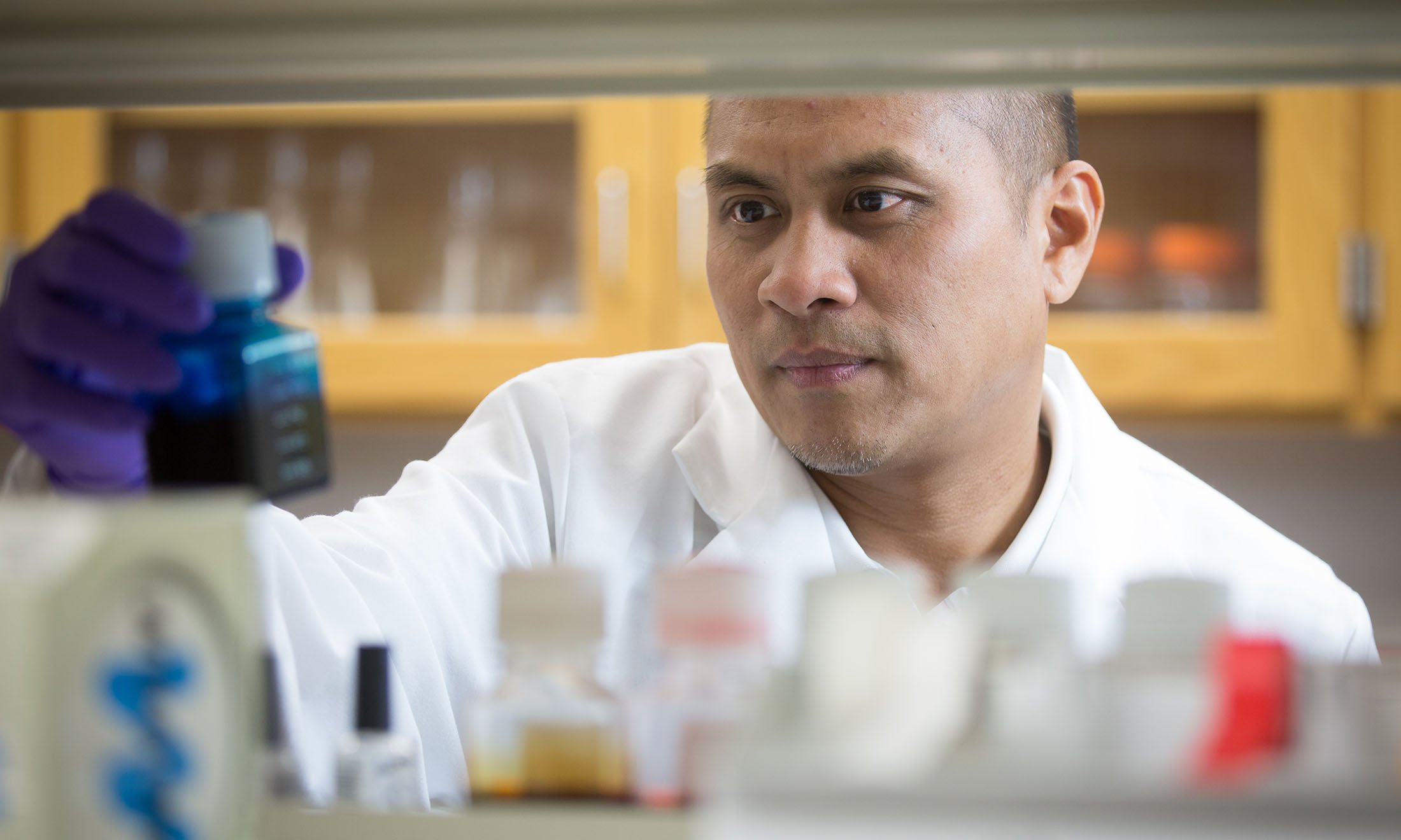 A person working in a lab