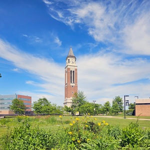 Oakland University's campus from a distance