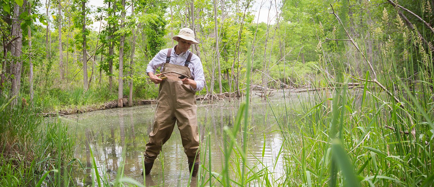 A person standing in a pond, holding a small net.