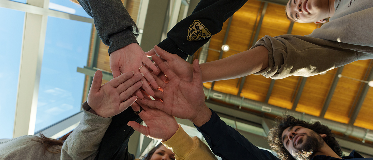 Hands overlapping in the middle of a circle of people