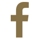 Social Facebook Gold Icon