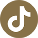 TikToK Logo